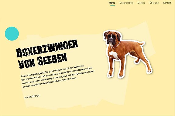 Screenshot der Website des Boxerzwingers von Seeben